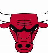 Image result for Chicago Bulls Banner Logo