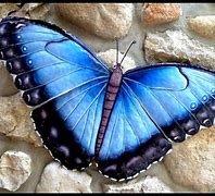 Image result for Metal Butterfly Swivel Clip