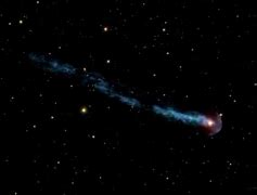 Image result for Real Life Shooting Stars