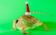 Image result for Christmas Lock Screen Wallpaper Lizard Anamated