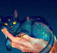 Image result for Galaxy Cat Meme