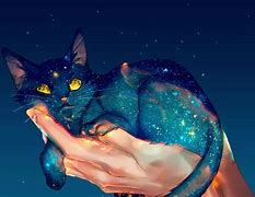 Image result for Galaxy Cat Beautiful