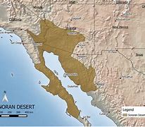 Image result for Sonoran Desert Mexico Map