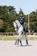 Image result for Half Pass Dressage Movement