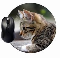 Image result for Cat Mouse Mat