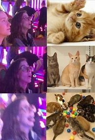 Image result for Cat Memes Calendar 2023