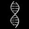 Image result for DNA Strand