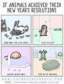 Image result for New Year Resolution Puns
