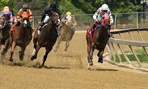Image result for Who Won Preakness Horse Race