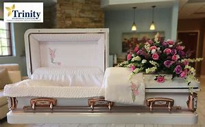 Image result for Coffin Interior