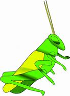 Image result for Cricket Outline