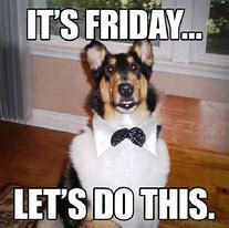 Image result for Friday Eve Puppy Meme