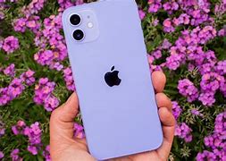 Image result for iPhone 12 Mini OLX