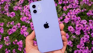 Image result for Show-Me iPhone 12 Mini