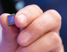 Image result for Cellular Chip