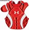 Image result for Under Armour Catcher's Gear