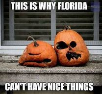Image result for Florida Dank Memes