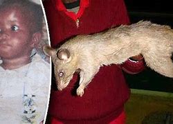 Image result for Giant Baby Eats Rat