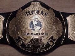 Image result for WWE Title Belt