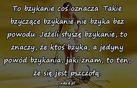 Image result for co_oznacza_Żubrówka_wódka