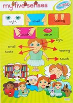 Image result for 5 Senses Anchor Chart