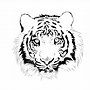 Image result for Traceable Tiger