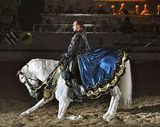 Image result for Medieval Horse Rider