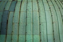 Image result for Copper Roof Cricket