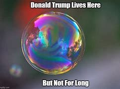 Image result for Living in a Bubble Meme