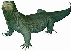 Image result for Comodo Dragon PNG