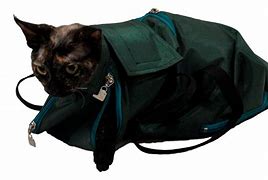 Image result for Vet Cat Bag Restraint