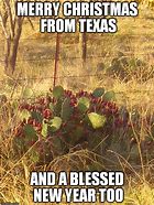 Image result for Texas Christmas Meme
