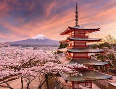 Image result for Cultural Surroundings Japan