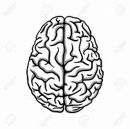 Image result for Black and White Brain Drawing