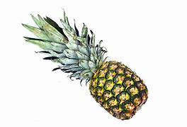 Image result for Pine Apple in White Background