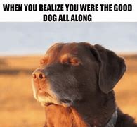 Image result for All Good Dog Meme