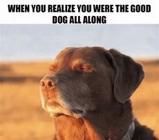 Image result for Top 25 Dog Memes