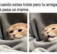 Image result for Memes De Cuando Estas Triste