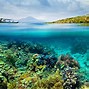 Image result for Underwater Wallpaper 4K Ultra HD