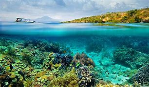 Image result for Underwater Wallpaper 4K Ultra HD