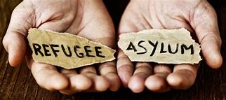 Image result for Refugee vs Asylum Seeker