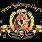 Image result for MGM Metro Goldwyn Mayer Lion