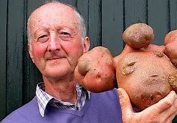 Image result for World Record Biggest Potato