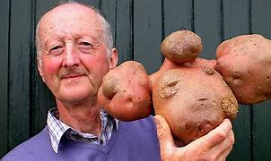 Image result for World's Biggest Potato