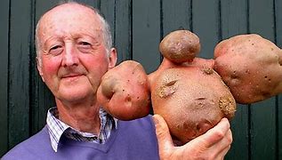 Image result for The Biggest Potato in the World House