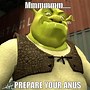 Image result for Dank Memes Shrek Funny Face