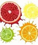 Image result for Fruit Tart Clip Art