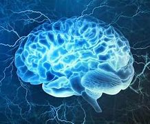 Image result for Blue Brain People