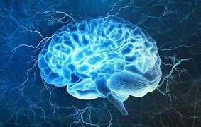 Image result for Blue and Read Brain