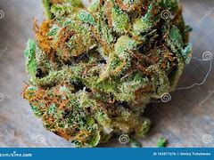 Image result for Weed Covered in Trichomes